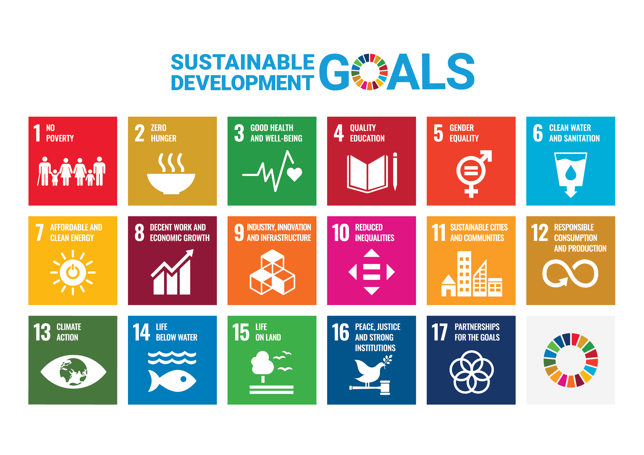 The United Nations' 17 Sustainable Development Goals (SDGs)